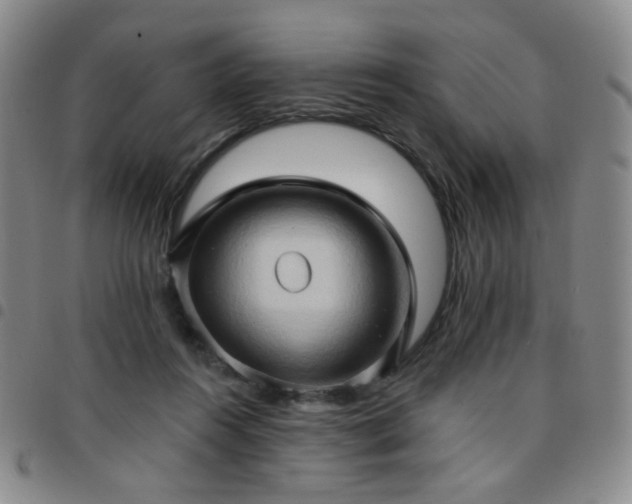 X0000097770360200803141750