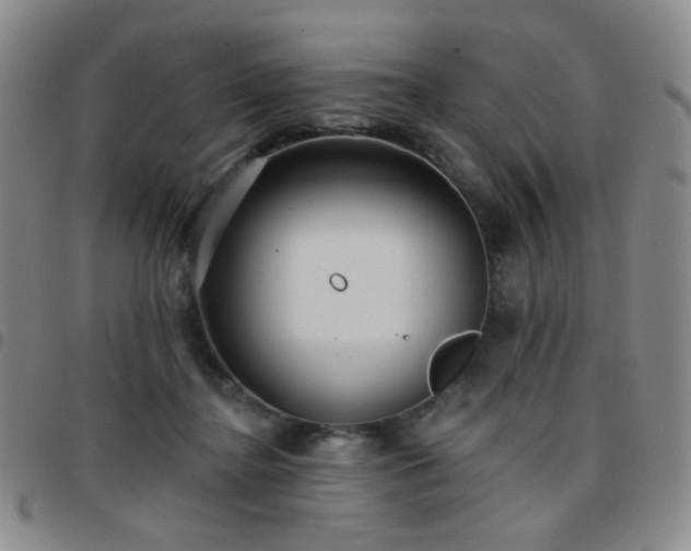 X0000097770364200803141751