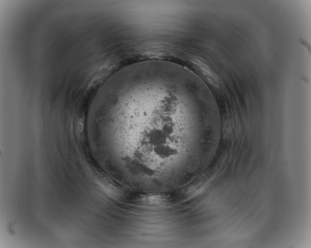 X0000097770365200803141751