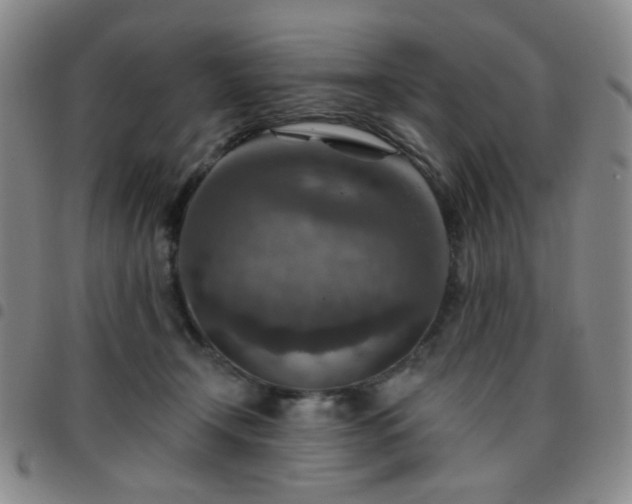 X0000097770366200803141751