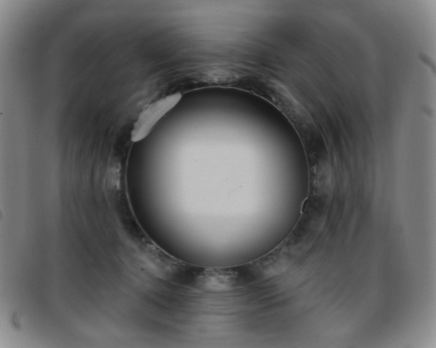 X0000097770368200803141751