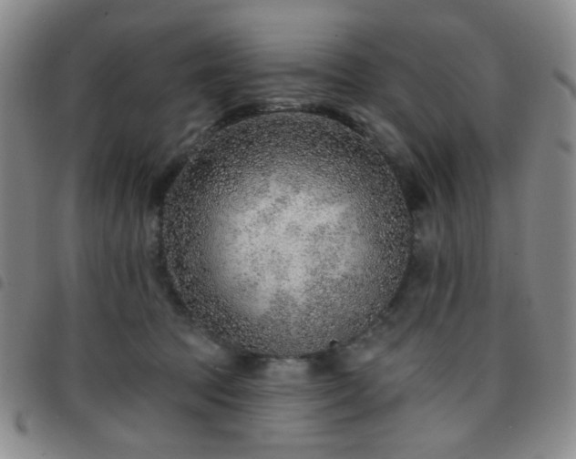 X0000097770369200803141751