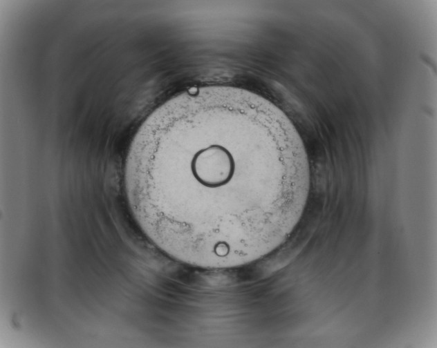 X0000097770370200803141751