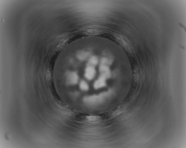 X0000097770371200803141751