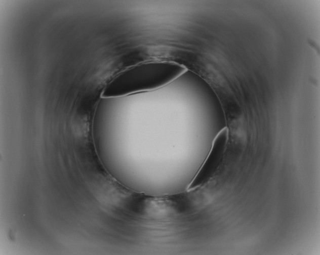 X0000097770372200803141751