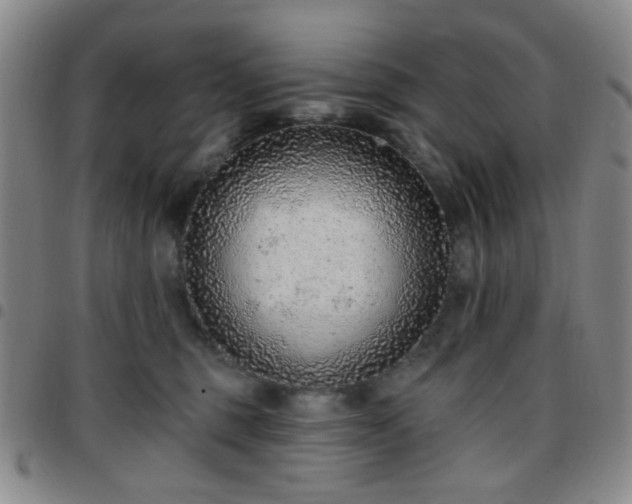 X0000097770375200803141751
