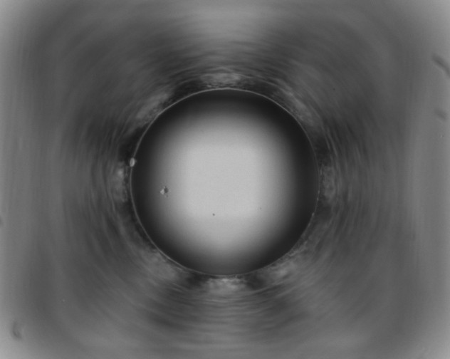 X0000097770378200803141751