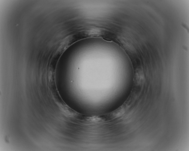 X0000097770379200803141751