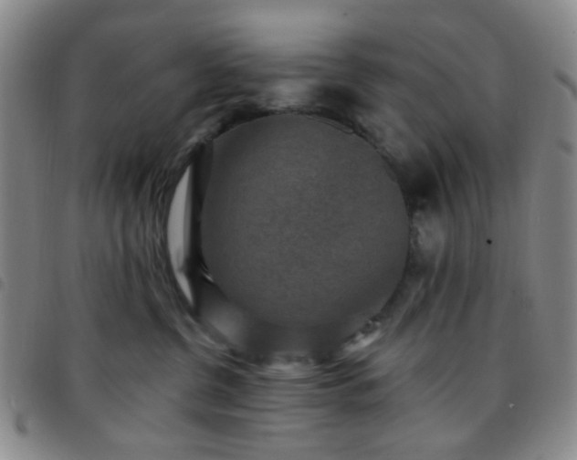 X0000097770380200803141751