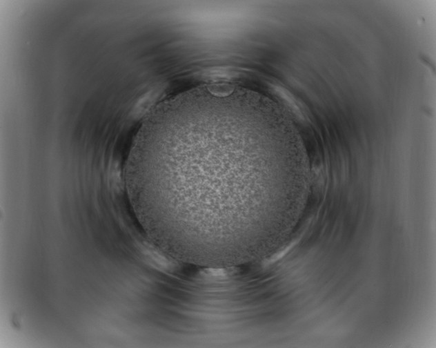 X0000097770381200803141751