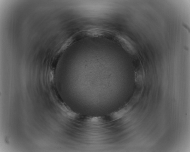 X0000097770382200803141751
