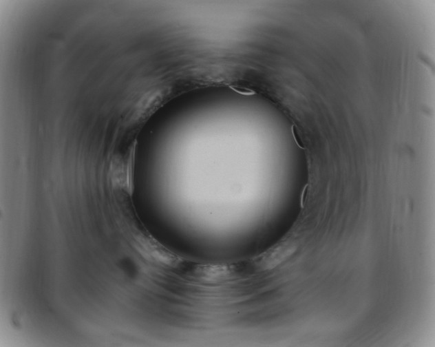 X0000097770384200803141751