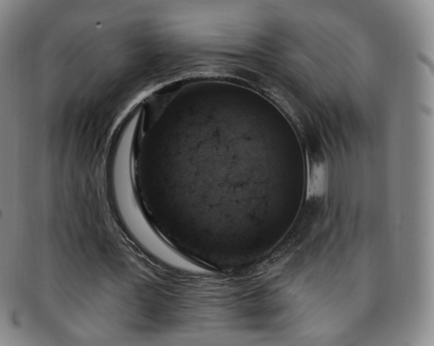 X0000097770387200803141750