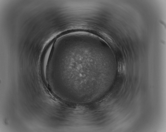X0000097770388200803141750