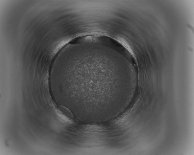 X0000097770389200803141750