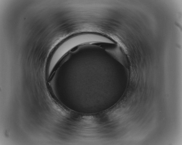X0000097770391200803141750