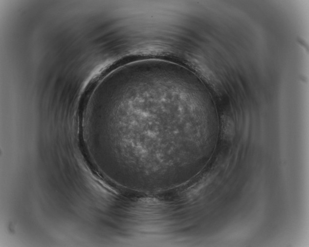X0000097770392200803141750