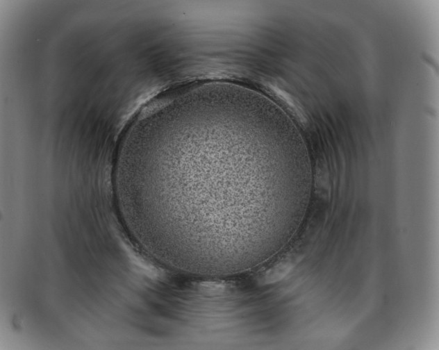 X0000097770394200803141750