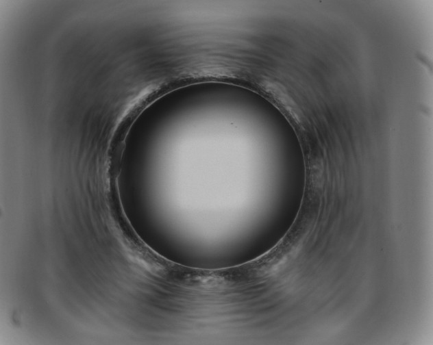 X0000097770395200803141750