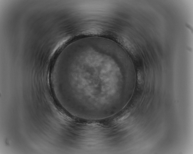 X0000097770396200803141750