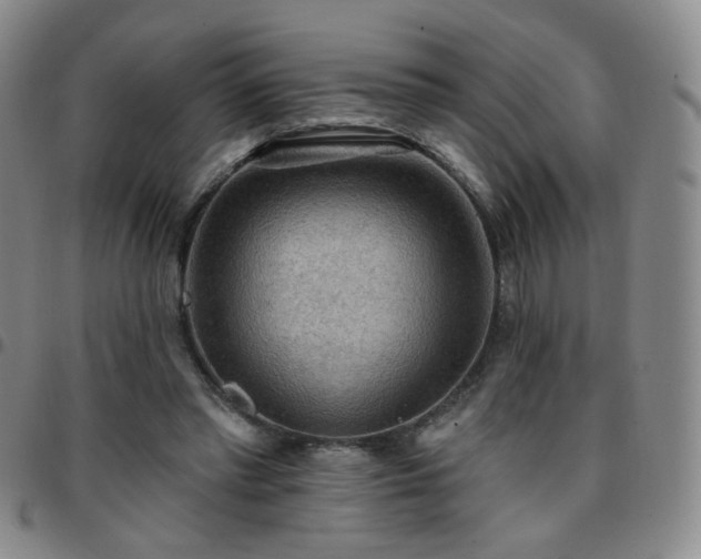 X0000097770397200803141750