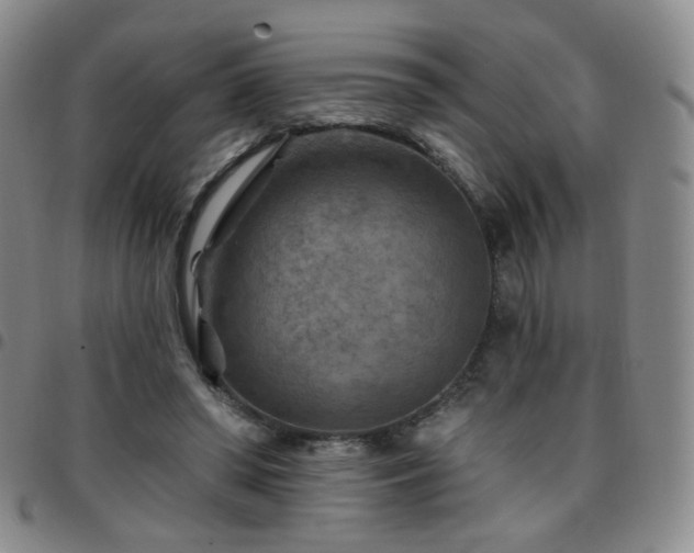 X0000097770398200803141750
