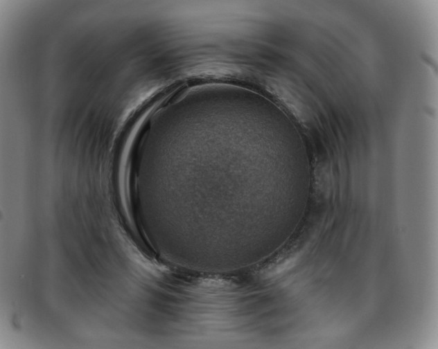 X0000097770399200803141750