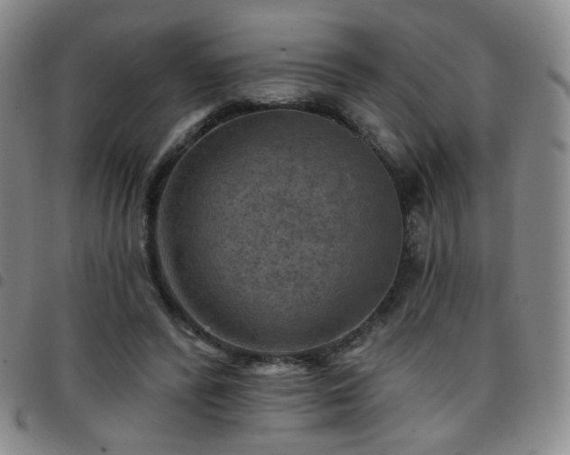 X0000097770400200803141750