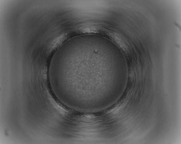 X0000097770402200803141750