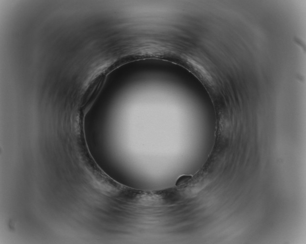 X0000097770403200803141750