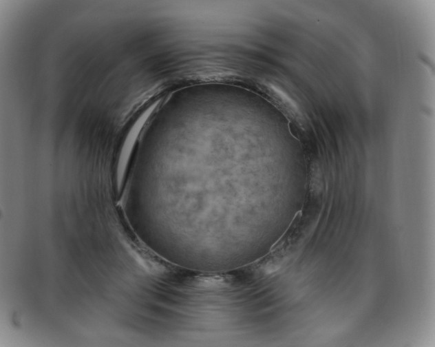 X0000097770405200803141750
