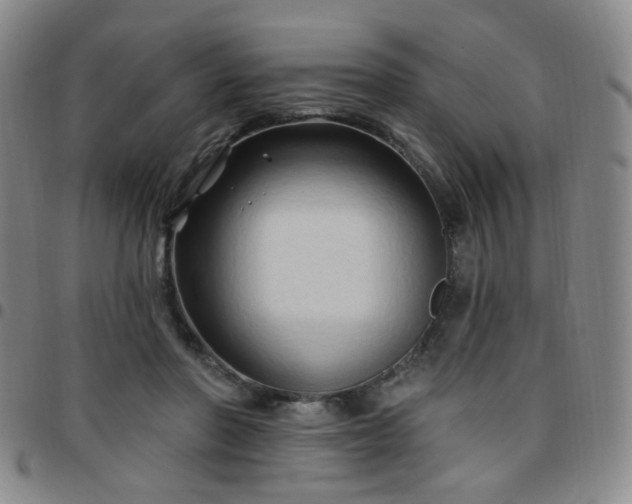 X0000097770406200803141750