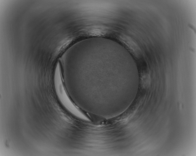 X0000097770407200803141750
