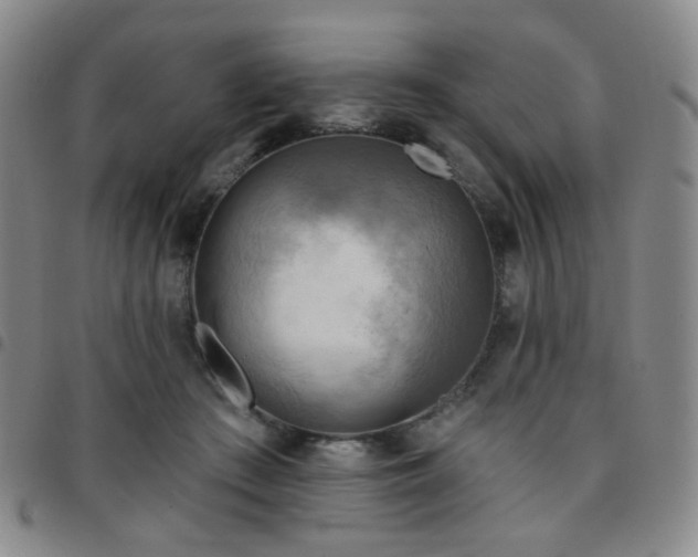 X0000097770409200803141750