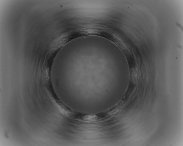 X0000097770410200803141750