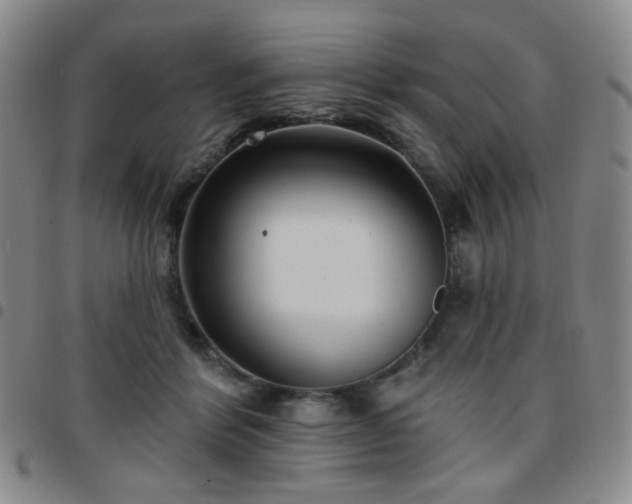 X0000097770412200803141750