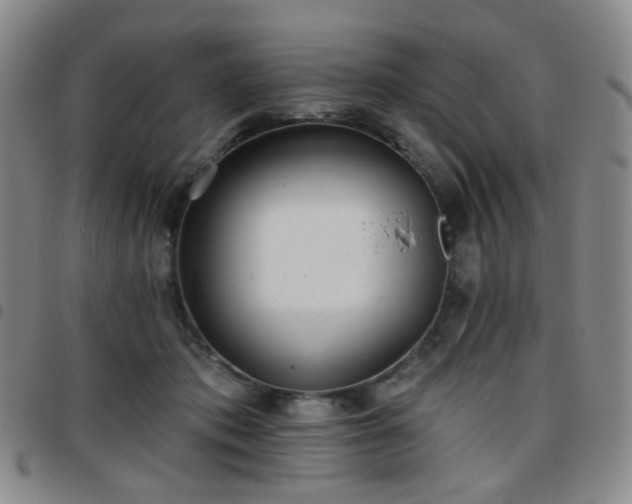 X0000097770413200803141750