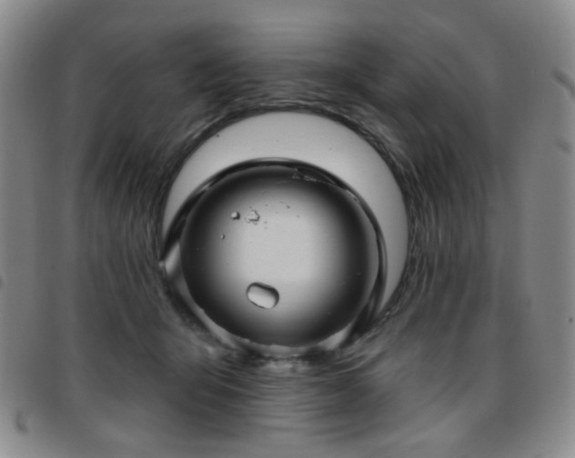 X0000097770415200803141750