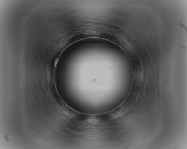 X0000097770416200803141750