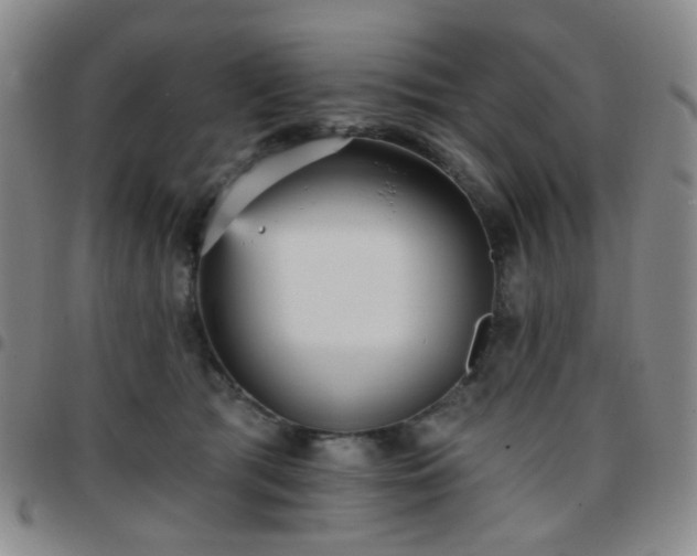 X0000097770417200803141750