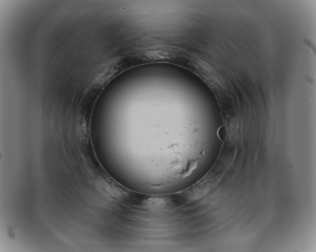 X0000097770418200803141750