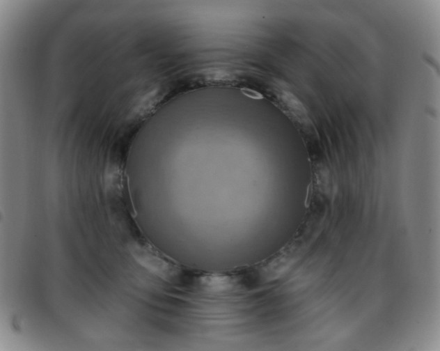 X0000097770419200803141750