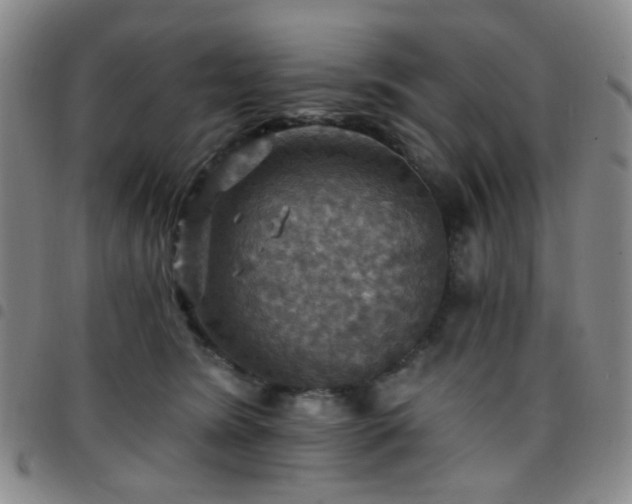 X0000097770420200803141750