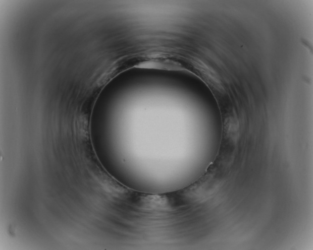 X0000097770421200803141750