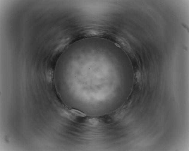 X0000097770423200803141750