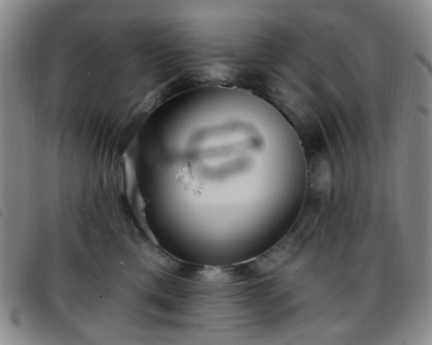 X0000097770425200803141750