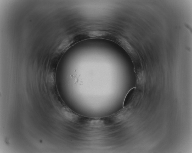 X0000097770426200803141750