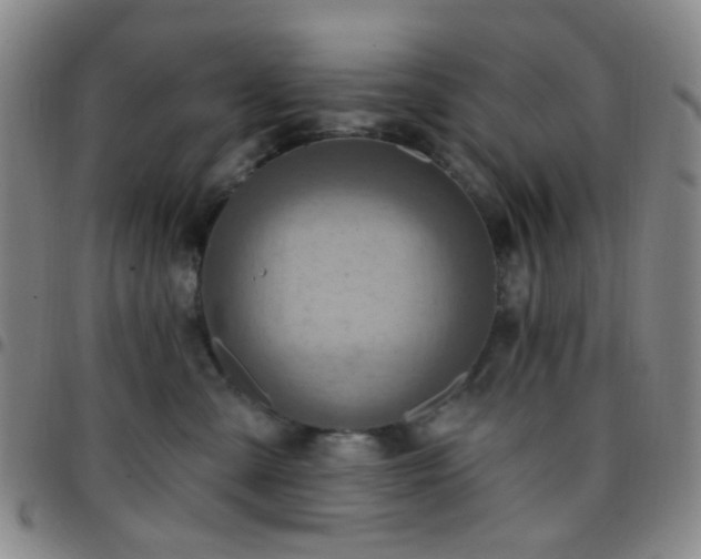 X0000097770427200803141750