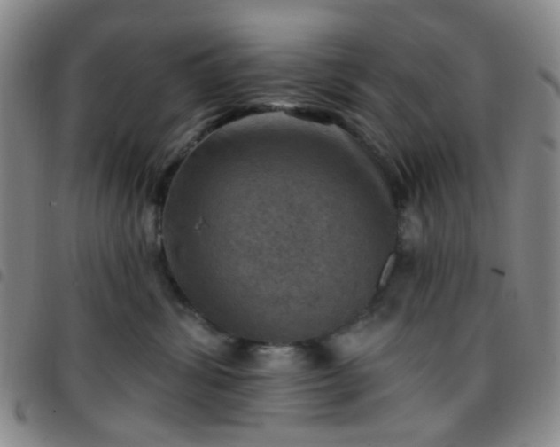 X0000097770428200803141750