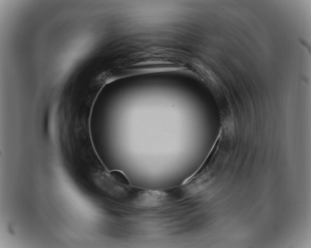 X0000097770429200803141750